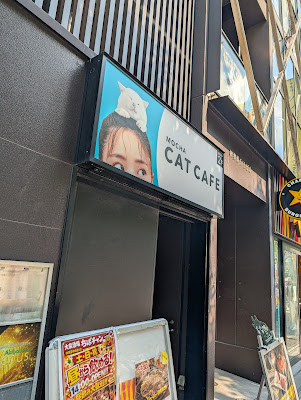 고양이카페 MOCHA 아키하바라점 사진 3