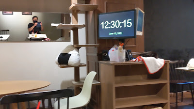 Cat Cafe Calaugh 사진 2