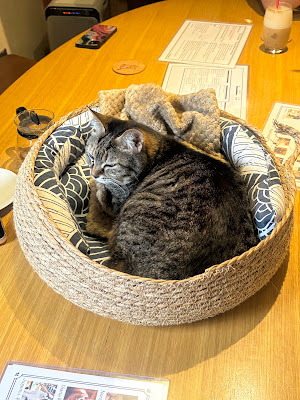 Cat Cafe Calaugh 사진 3