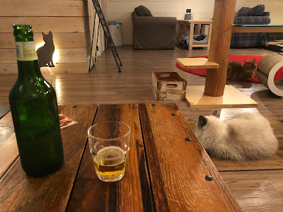 Cat Cafe MONTA 사진 3
