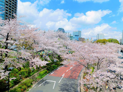 Tokyo Midtown Grass Square 사진 5