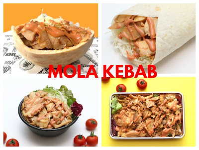 MOLA KEBAB (モラケバブ)｜HALAL ハラル・本場トルコのケバブ 사진 2