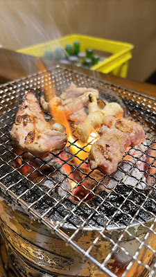 Kappa 사진 3