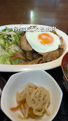 Nakayoshi 사진 2