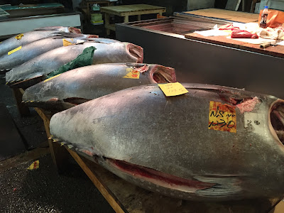 Matsui-suisan Tsukiji-maguroya3daime 사진 3