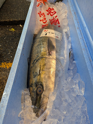 順鳥 사진 3
