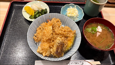 Akiyama 사진 5