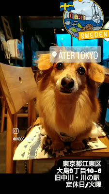 ÅTER Tokyo 사진 2