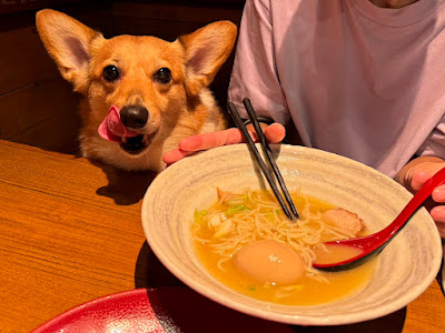 麺酒場さかのうえ 사진 3