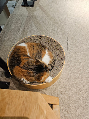 Cat Cafe MOFF Yodobashi Akiba 사진 4