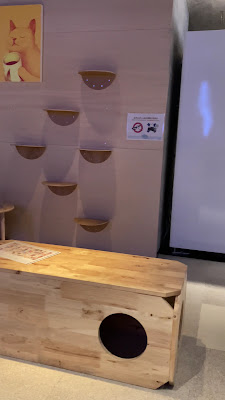 Cat Cafe MOFF Yodobashi Akiba 사진 2