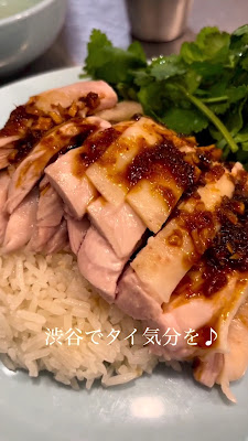 Shibuya Kaomangai Thai Chicken Rice 사진 2