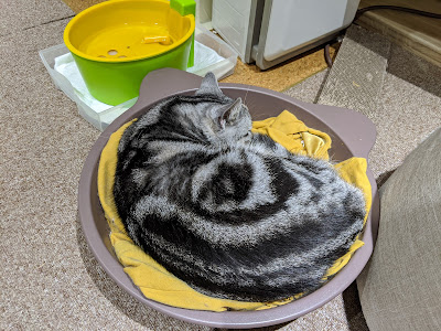 Neko JaLaLa 사진 2
