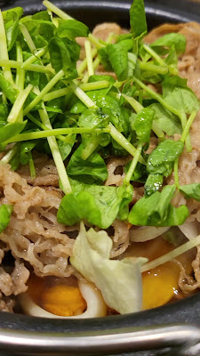 Yoshinoya Akihabara 사진 2