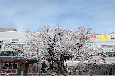 フレンテ仙川 사진 3