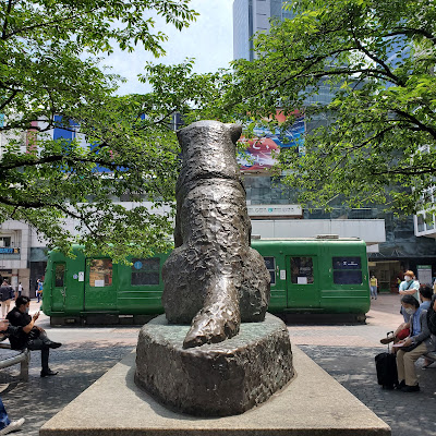 시부야역 사진 5