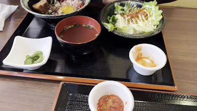 하이바나 사진 2
