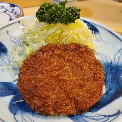 Fuji 사진 2