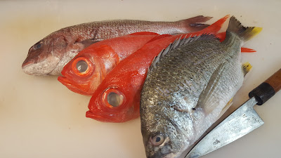 和酒と相模湾鮮魚 浜松町 わ かく田 사진 2
