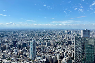 도쿄도청 남측 전망대 사진 4