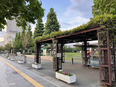 오다이바 레인보우공원 사진 3