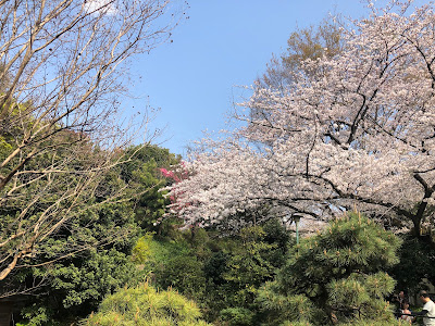 사이고우야마 공원 사진 3