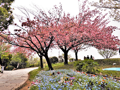 사이고우야마 공원 사진 4
