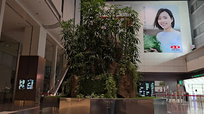 하네다 공항 제1터미널 전망대 사진 2