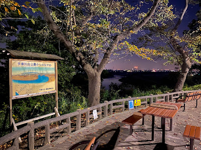 Tamagawadai Park Sunset Observation Deck 사진 3