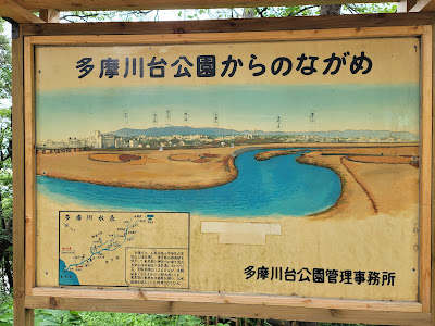 Tamagawadai Park Sunset Observation Deck 사진 5