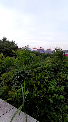 Observatory 사진 5