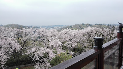 Mt. Masugata Observation Platform 사진 5