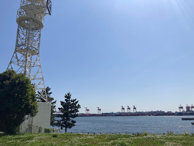 Lookout 사진 5