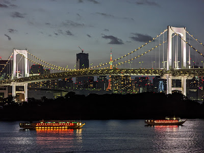 Observation deck at Odaiba Seaside Park 사진 3