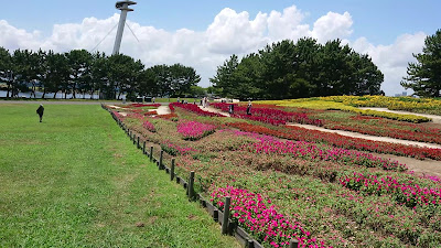 Observation Field 사진 2