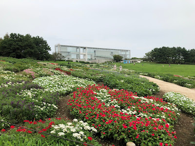 Observation Field 사진 4