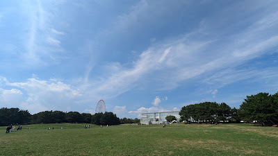 Observation Field 사진 5