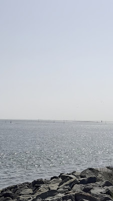 Observation Deck 사진 2