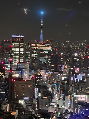 Tokyo Tower Top Deck 사진 4