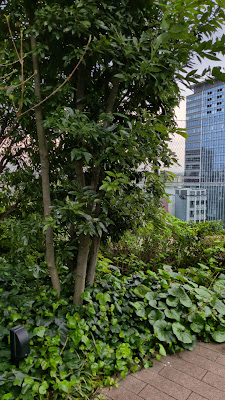 Shibuya Parco Rooftop Park 사진 2