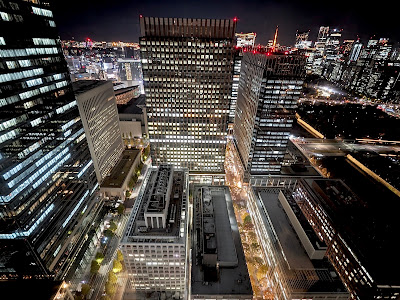 Marunouchi Building 35F Observatory 사진 3