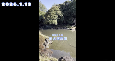 展望台 사진 2