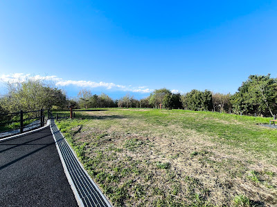 Hill in the East 사진 3