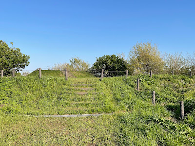 Hill in the East 사진 4