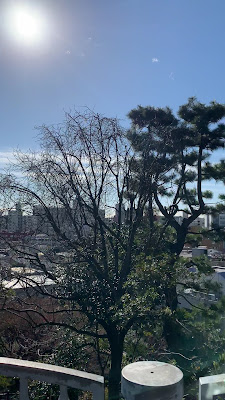 展望台 사진 2