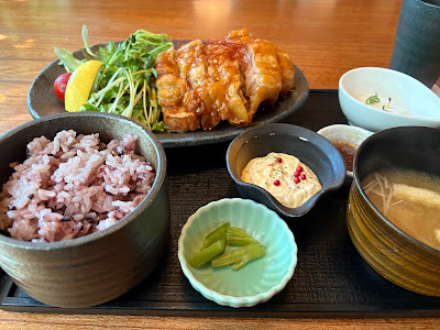 とうふ旬菜 心音 사진 3