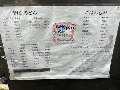 사라시나 사진 5