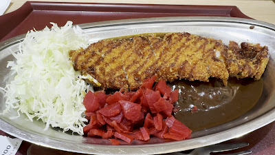 고고 카레 Mizonokuchi Nocty Plaza Shop 사진 2