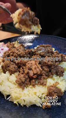 Japanese Spice Curry Wacca 사진 2