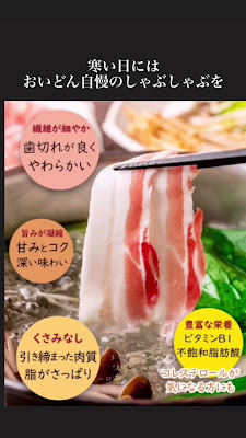 Ichikawa Oidon 사진 2